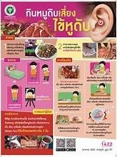 กินหมูดิบเสี่ยงไข้หูดับ Image 1
