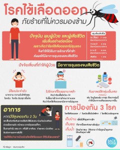 โรคไข้เลือดออก ภัยร้ายที่ไม่ควรมองข้าม Image 1