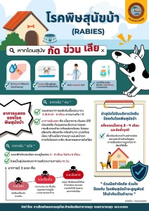 โรคพิษสุนัขบ้า RABIES Image 1
