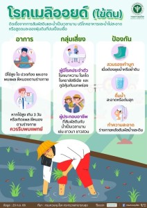โรคเมลิออยด์ (ไข้ดิน) Image 1