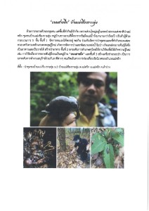 ถนนสายอึ่ง บ้านแม่เชียงรายลุ่ม Image 1