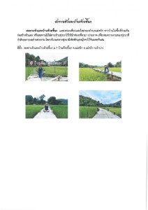 สะพานขัวแตะบ้านห้วยขี้นก Image 1