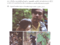 ถนนสายอึ่ง บ้านแม่เชียงรายลุ่ม Image 1