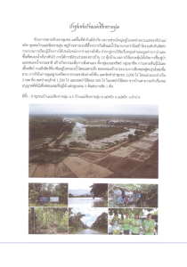 ป่าชุมชนบ้านแม่เชียงรายลุ่ม Image 1