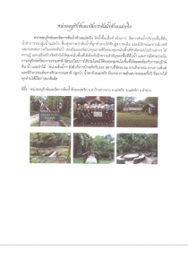 หน่วยอนุรักษ์และจัดการต้นน้ำห้วยแม่พริก Image 1