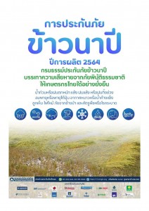 ประชาสัมพันธ์:โครงการประกันภัยข้าวนาปี ปีการผลิต ๒๕๖๔ ... Image 1