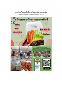 แหล่งเรียนรู้ในชุมชนในพื้นที่ กล้วยตากพลังงานแสงอาทิตย์ Image 1