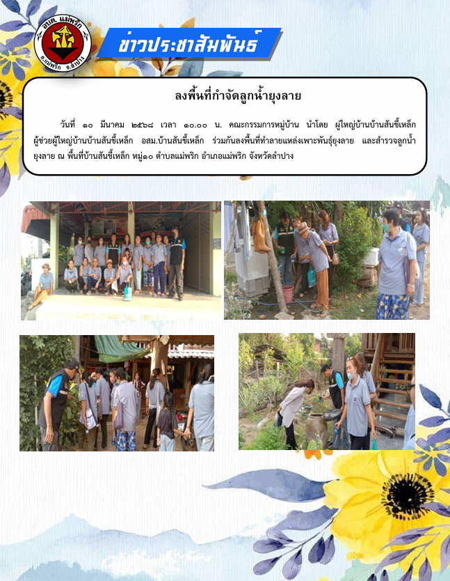 ตรวจลูกน้ำ.png